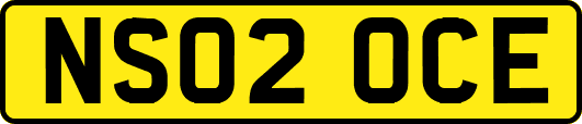 NS02OCE