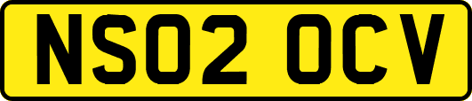 NS02OCV