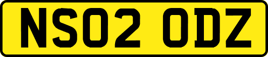 NS02ODZ