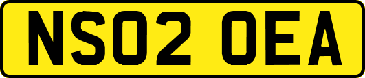 NS02OEA