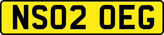 NS02OEG