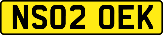 NS02OEK