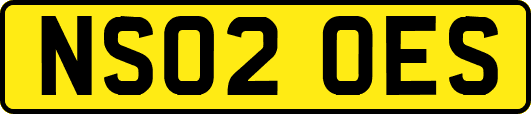 NS02OES