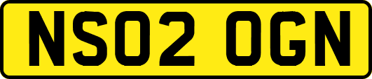 NS02OGN
