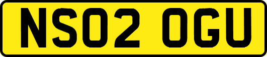 NS02OGU