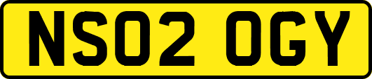 NS02OGY