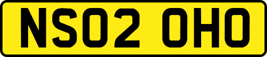 NS02OHO