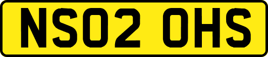 NS02OHS