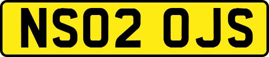 NS02OJS