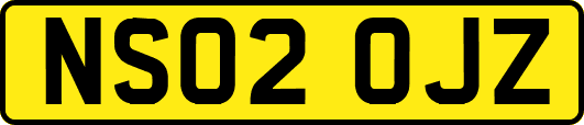 NS02OJZ