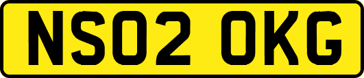 NS02OKG