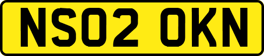 NS02OKN