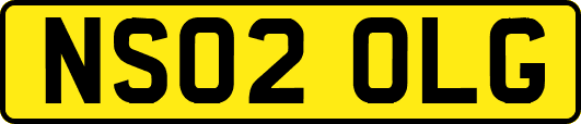 NS02OLG