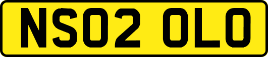 NS02OLO