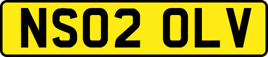 NS02OLV