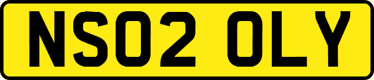 NS02OLY