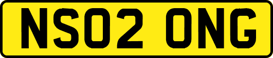 NS02ONG