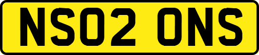 NS02ONS