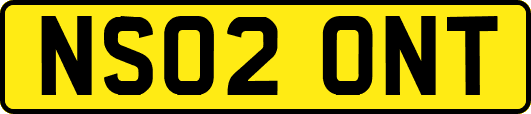 NS02ONT