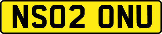 NS02ONU