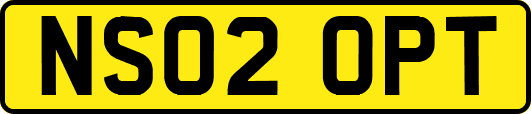 NS02OPT
