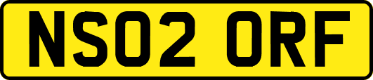 NS02ORF