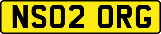 NS02ORG
