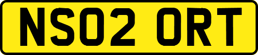 NS02ORT