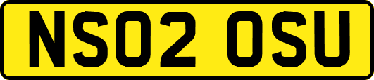 NS02OSU