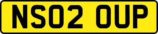 NS02OUP