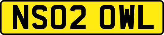 NS02OWL