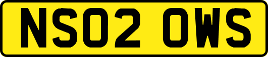 NS02OWS
