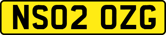 NS02OZG