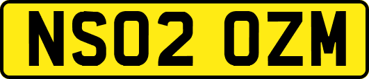 NS02OZM