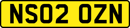 NS02OZN