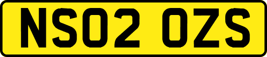 NS02OZS