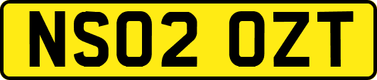NS02OZT