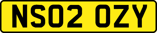 NS02OZY