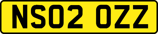 NS02OZZ