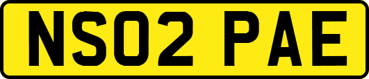 NS02PAE
