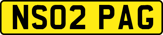 NS02PAG
