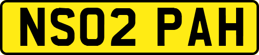 NS02PAH