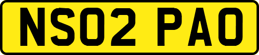 NS02PAO