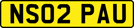 NS02PAU