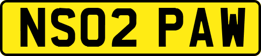 NS02PAW