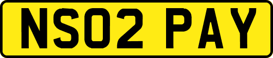 NS02PAY