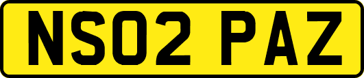 NS02PAZ