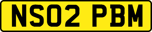 NS02PBM