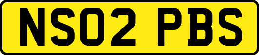 NS02PBS