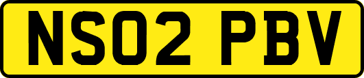 NS02PBV